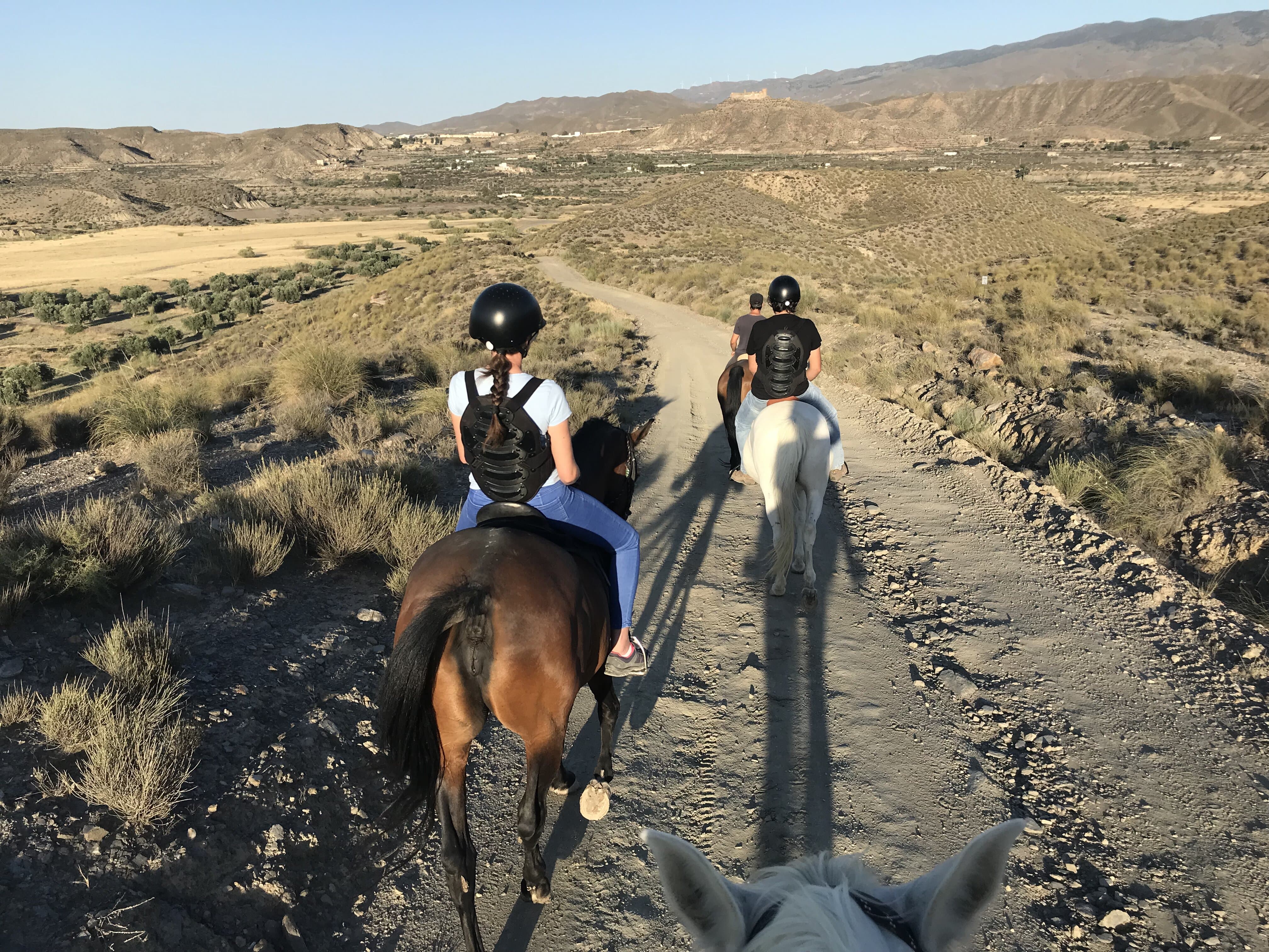 Imagen de Visita a caballo por el Desierto